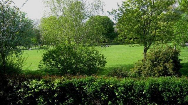 Woodbine City Rooms Exeter Eksteriør bilde
